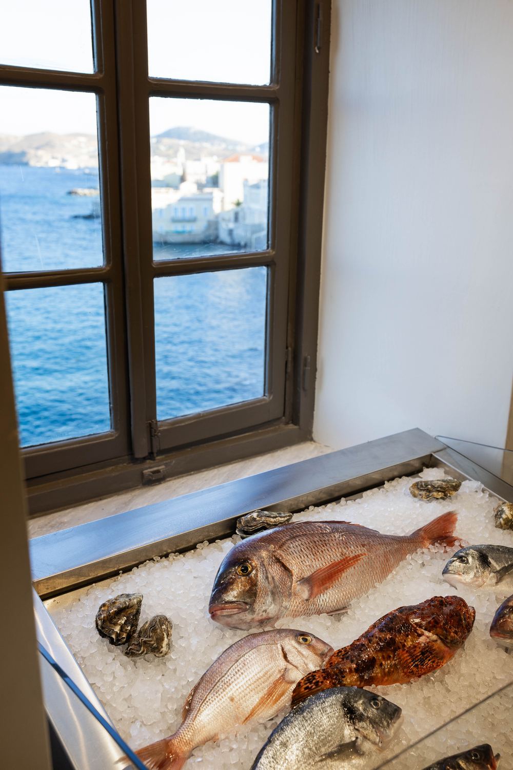 Φρέσκα ψάρια στον πάγο με θέα τη θάλασσα